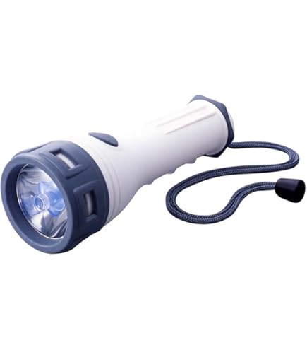 Amazon | パナソニック 蛍光灯付強力ライト BF-664F | パナソニック